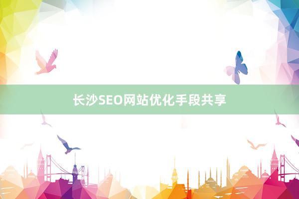 长沙SEO网站优化手段共享