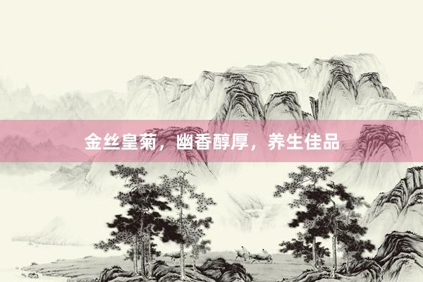 金丝皇菊，幽香醇厚，养生佳品