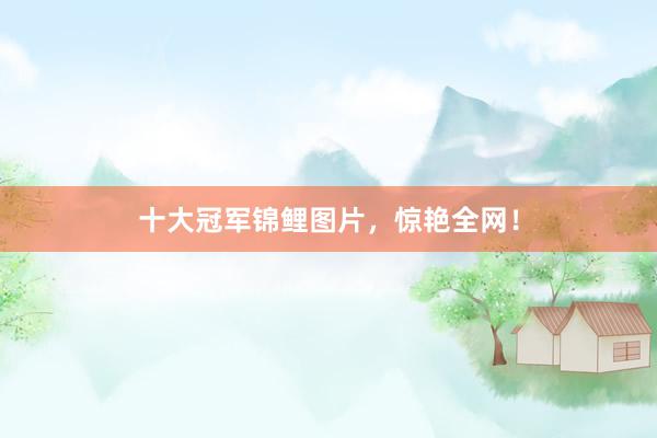 十大冠军锦鲤图片，惊艳全网！