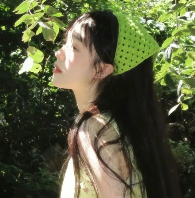 追鹰日记